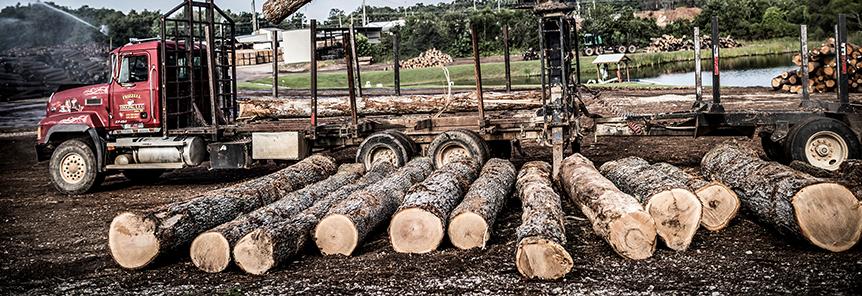 Featured Image for “Missouri Forest Products Association’s Logging School”