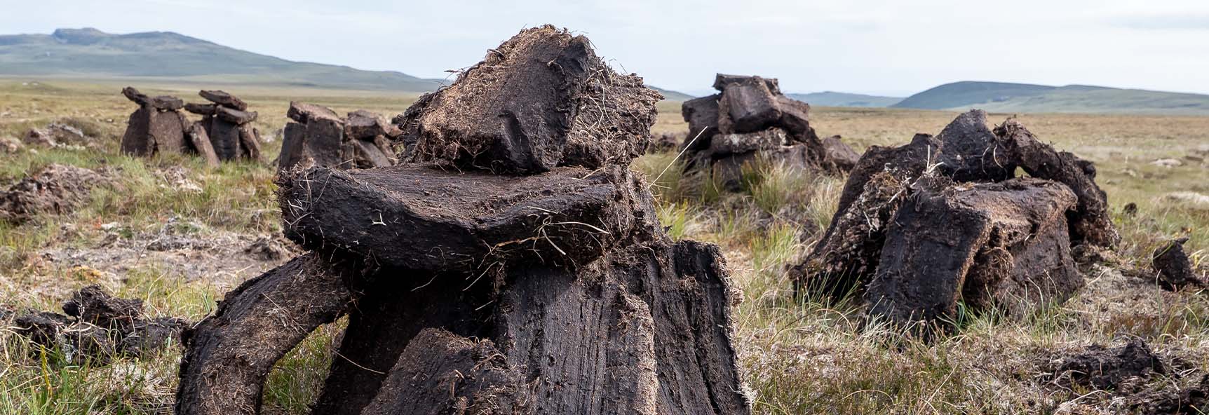 Featured image for “Peat Smoked Barrels”