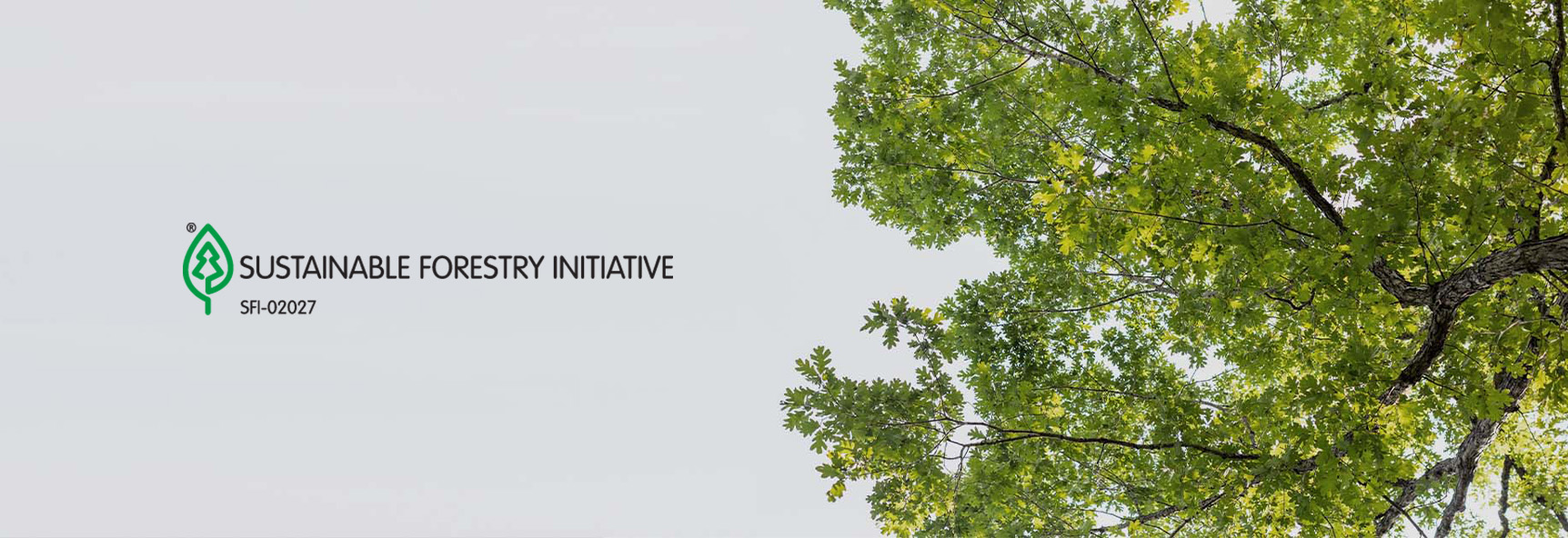 Featured image for “Sustainable Forestry Initiative”